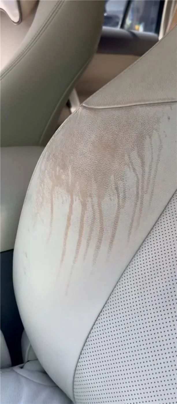 Before: Lexus ES250 Seat Backrest Stain Removal